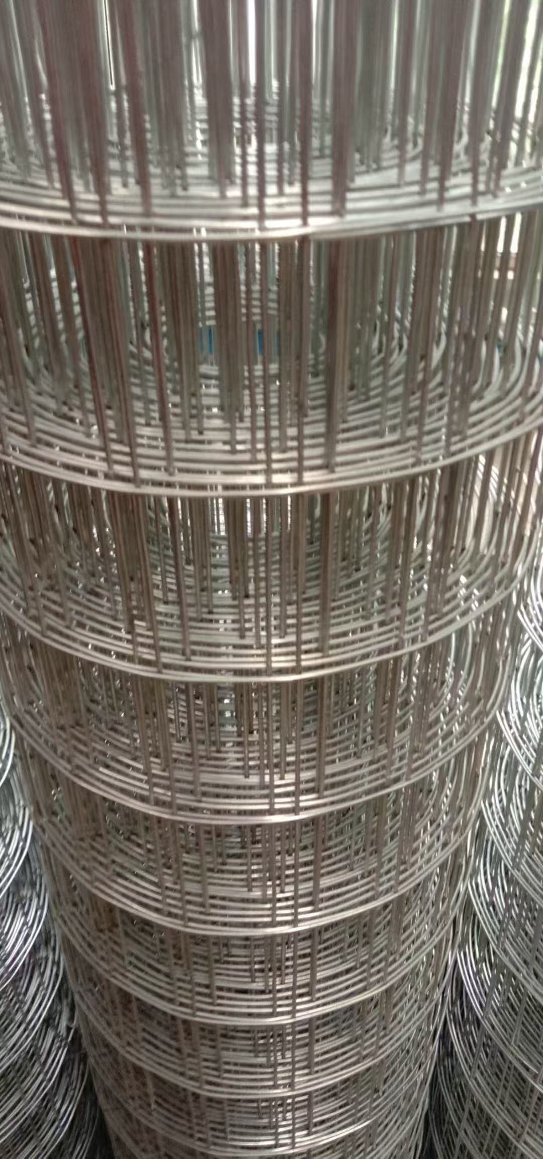 ɽ���纸����������